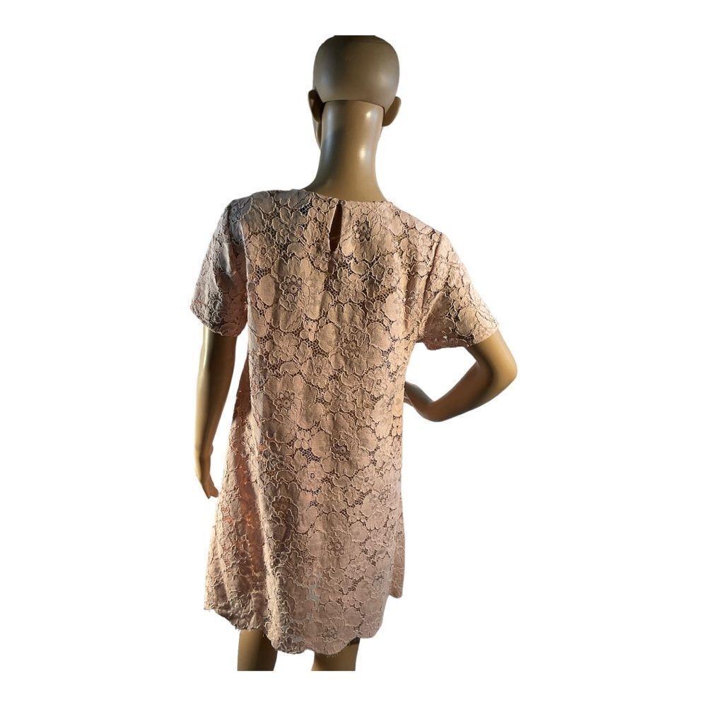 BCBG MAXAZRIA Women’s Size Small Pale Pink Diane Oversized Lace Knee Dress - Picture 5 of 12